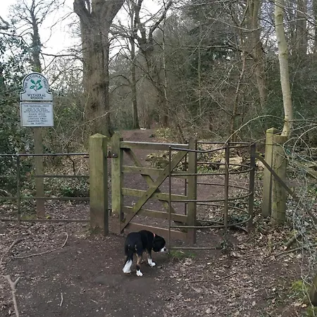 Ghyllie Wetheral